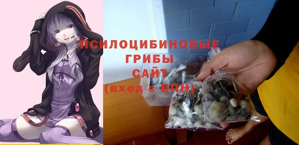 гашик Козловка