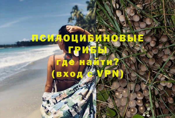 винт Козельск
