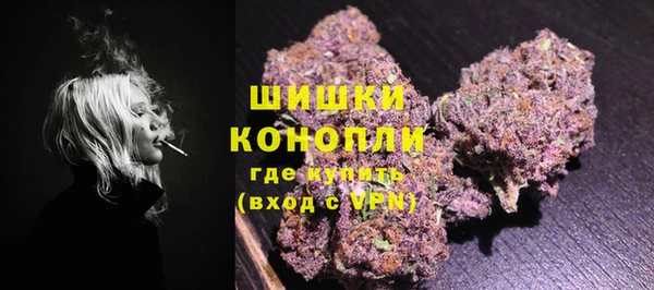 гашик Козловка