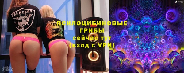винт Козельск
