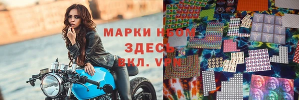 гашик Козловка