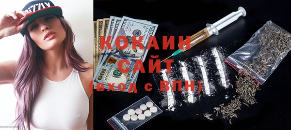 гашик Козловка